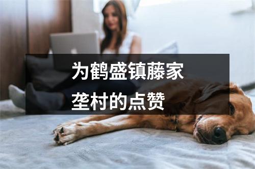 为鹤盛镇藤家垄村的点赞