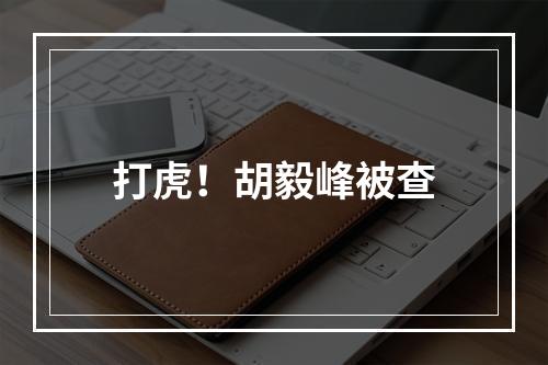 打虎！胡毅峰被查