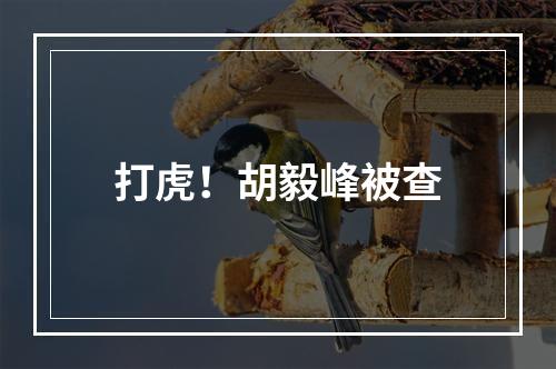 打虎！胡毅峰被查
