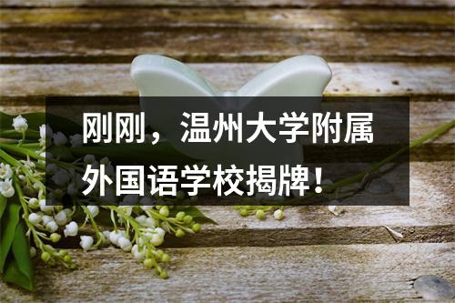 刚刚，温州大学附属外国语学校揭牌！