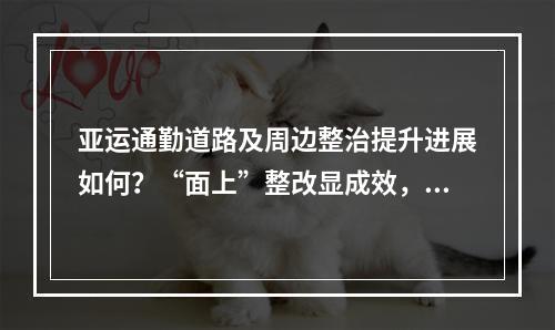 亚运通勤道路及周边整治提升进展如何？“面上”整改显成效，“里子”提升有点慢