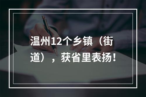 温州12个乡镇（街道），获省里表扬！