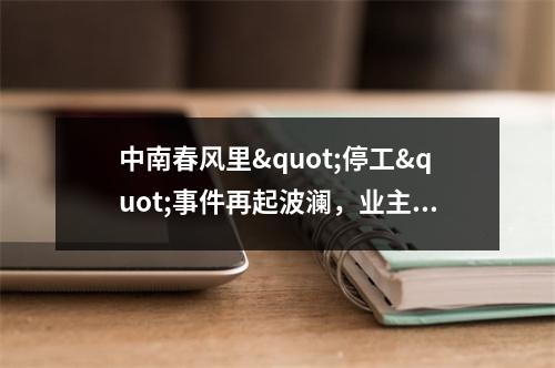 中南春风里"停工"事件再起波澜，业主质疑资金监管有问题...