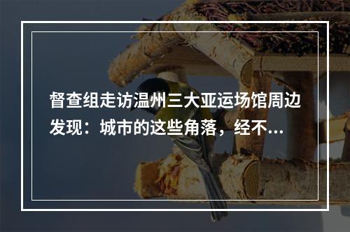 督查组走访温州三大亚运场馆周边发现：城市的这些角落，经不起“放大了看”