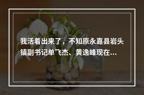 我活着出来了，不知原永嘉县岩头镇副书记单飞杰、黄逸峰现在哪里高就