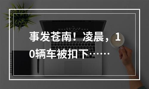 事发苍南！凌晨，10辆车被扣下……