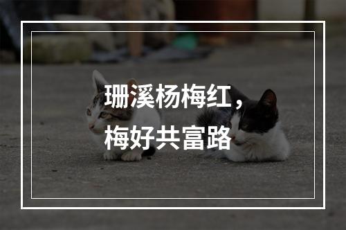 珊溪杨梅红，梅好共富路