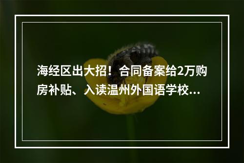 海经区出大招！合同备案给2万购房补贴、入读温州外国语学校（初中）、光华 ...