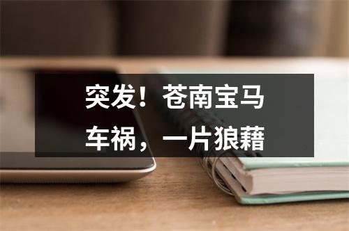 突发！苍南宝马车祸，一片狼藉