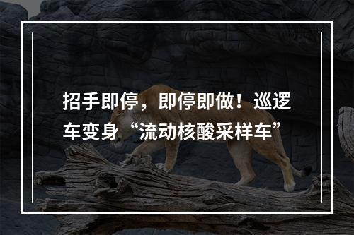 招手即停，即停即做！巡逻车变身“流动核酸采样车”