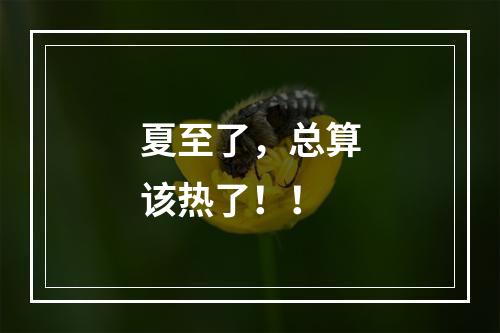 夏至了，总算该热了！！