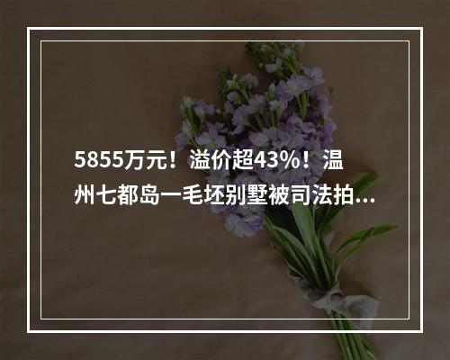 5855万元！溢价超43％！温州七都岛一毛坯别墅被司法拍卖