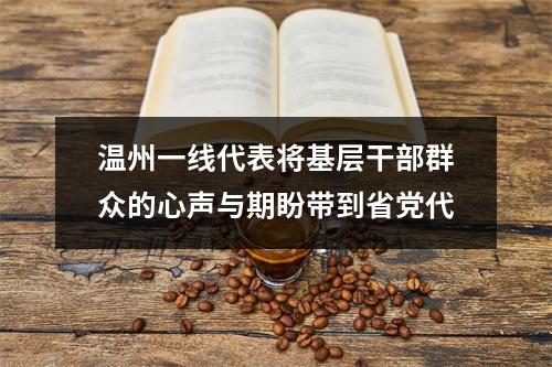 温州一线代表将基层干部群众的心声与期盼带到省党代