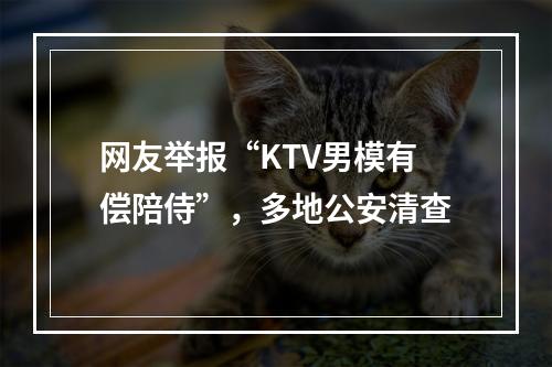 网友举报“KTV男模有偿陪侍”，多地公安清查