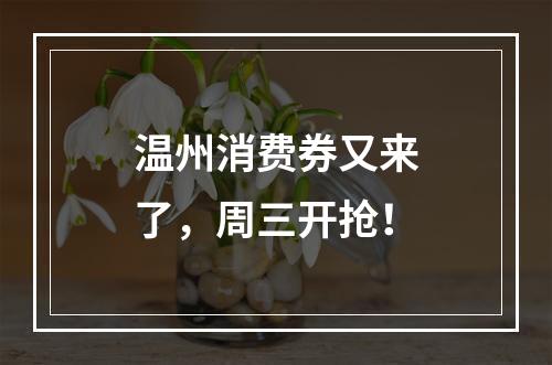 温州消费券又来了，周三开抢！