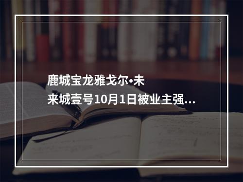 鹿城宝龙雅戈尔•未来城壹号10月1日被业主强烈维权（图片）