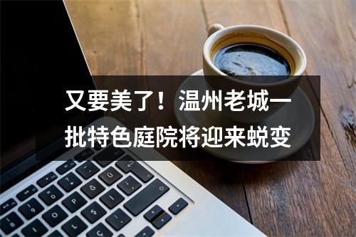 又要美了！温州老城一批特色庭院将迎来蜕变