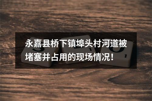 永嘉县桥下镇埠头村河道被堵塞并占用的现场情况！