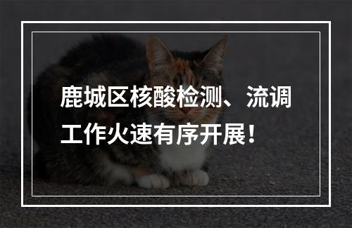 鹿城区核酸检测、流调工作火速有序开展！