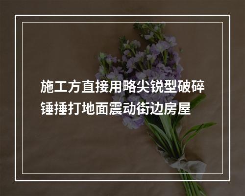 施工方直接用略尖锐型破碎锤捶打地面震动街边房屋