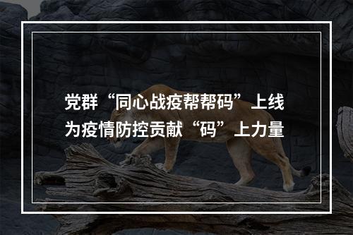 党群“同心战疫帮帮码”上线 为疫情防控贡献“码”上力量