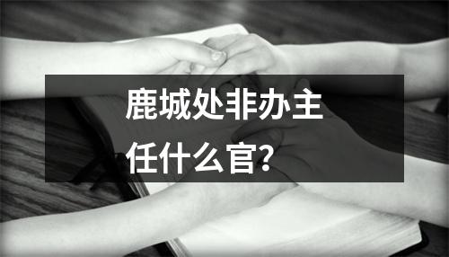 鹿城处非办主任什么官？