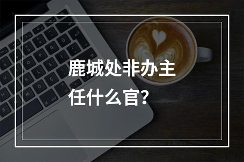 鹿城处非办主任什么官？