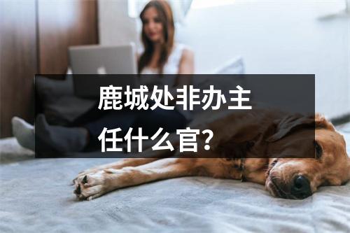 鹿城处非办主任什么官？