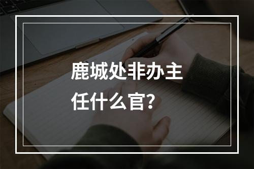 鹿城处非办主任什么官？