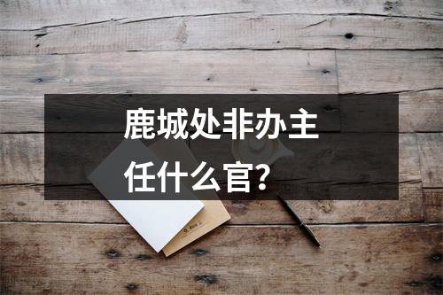 鹿城处非办主任什么官？