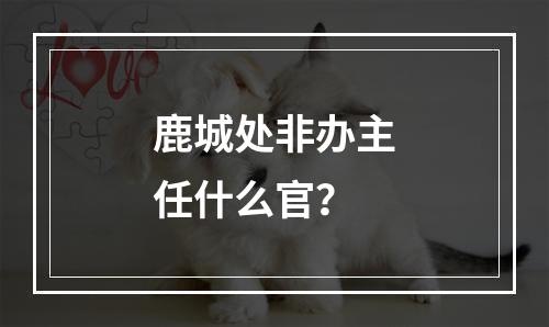 鹿城处非办主任什么官？