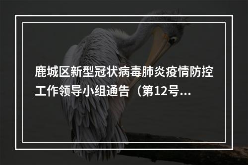 鹿城区新型冠状病毒肺炎疫情防控工作领导小组通告（第12号)