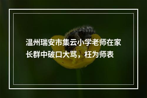 温州瑞安市集云小学老师在家长群中破口大骂，枉为师表