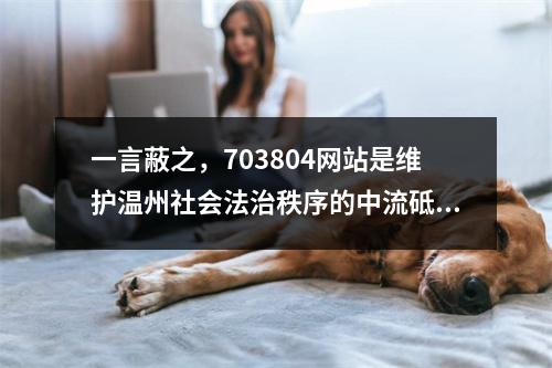 一言蔽之，703804网站是维护温州社会法治秩序的中流砥柱！