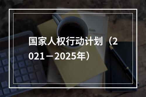 国家人权行动计划（2021－2025年）
