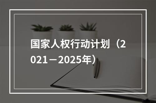 国家人权行动计划（2021－2025年）