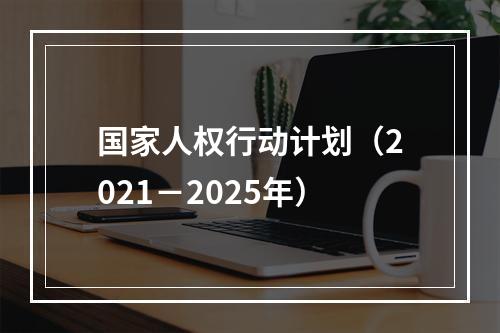 国家人权行动计划（2021－2025年）