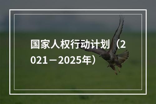 国家人权行动计划（2021－2025年）