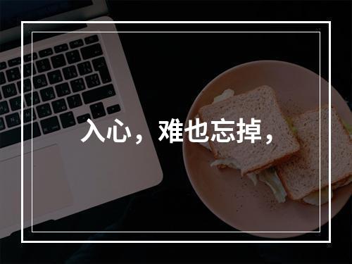 入心，难也忘掉，