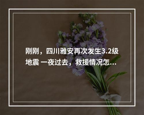 刚刚，四川雅安再次发生3.2级地震 一夜过去，救援情况怎么样了？