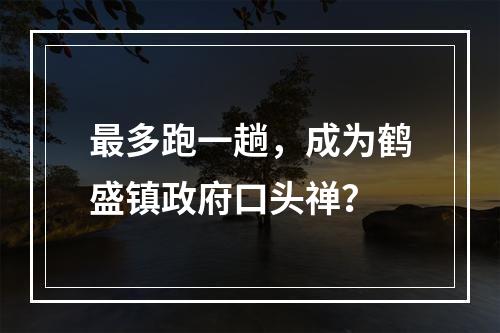 最多跑一趟，成为鹤盛镇政府口头禅？