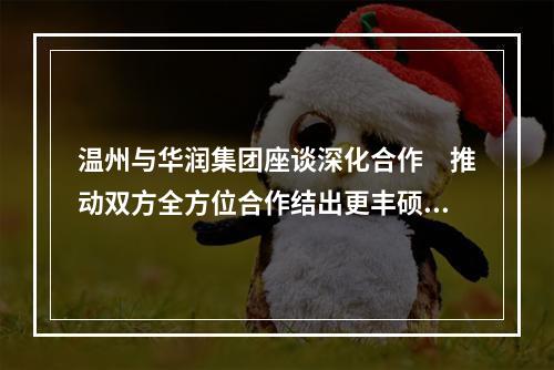 温州与华润集团座谈深化合作　推动双方全方位合作结出更丰硕成果
