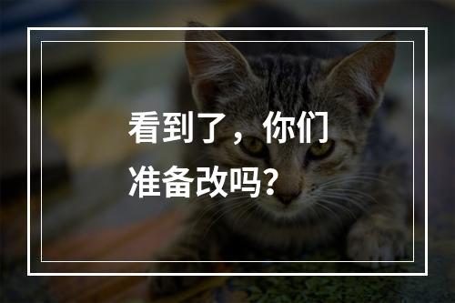 看到了，你们准备改吗？