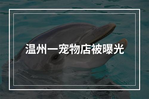 温州一宠物店被曝光