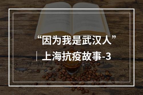 “因为我是武汉人”｜上海抗疫故事-3