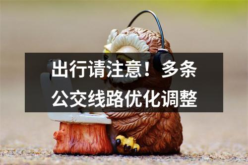 出行请注意！多条公交线路优化调整