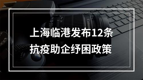 上海临港发布12条抗疫助企纾困政策