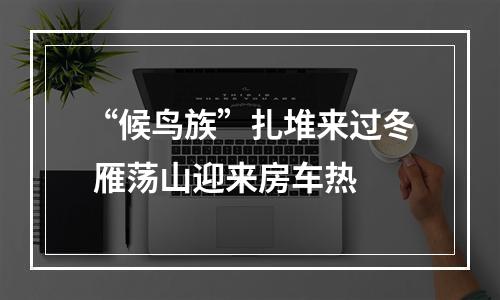 “候鸟族”扎堆来过冬 雁荡山迎来房车热