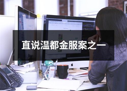 直说温都金服案之一