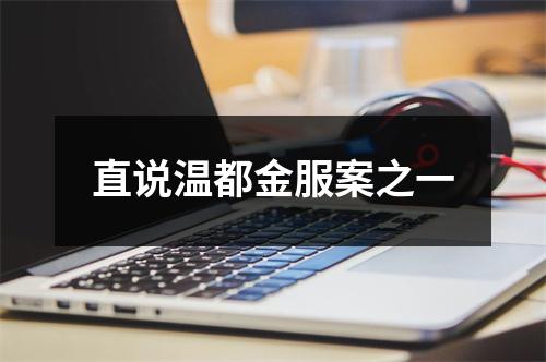 直说温都金服案之一